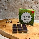 Aromafume briques d'encens rosée de forêt - Mineralshop