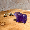 ELÉPHANT 40MM FLUORINE RAINBOW, l'incorruptible