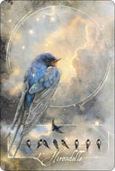 Oracle des oiseaux messagers
