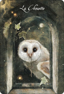 Oracle des oiseaux messagers