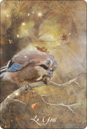 Oracle des oiseaux messagers