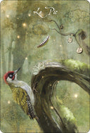 Oracle des oiseaux messagers