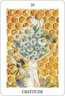 Oracle des curieux hasards - Mineralshop