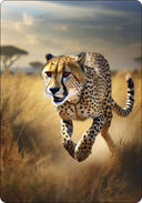 RENCONTREZ VOTRE MOI DU FUTUR