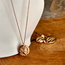 Collier astrologie lion, acier, rose, médaille, pendentif