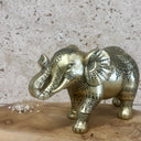 Éléphant couleur OR