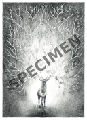 ILLUSTRATION LE RESEAU  Oracle AKASHA, A3