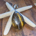 protection, ancrage, confiance en soi, courage, vitalité, calme, équilibre, étudiants, examens 